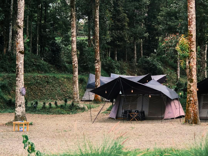 Visi Misi Lembayung Pinus